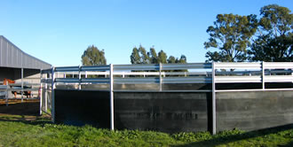 Stables and training